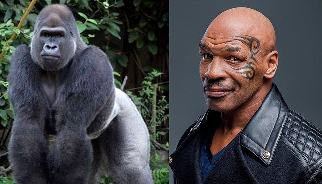 Mike Tyson (Foto Cortesía)
