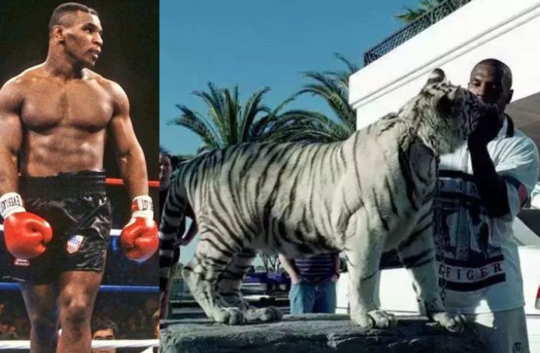MIKE TYSON HACÍA SPARRING CON ¡UN TIGRE DE BENGALA!