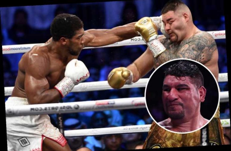 “Andy Ruíz vs Chris Arreola es una pelea de mierda” Dillian Whyte