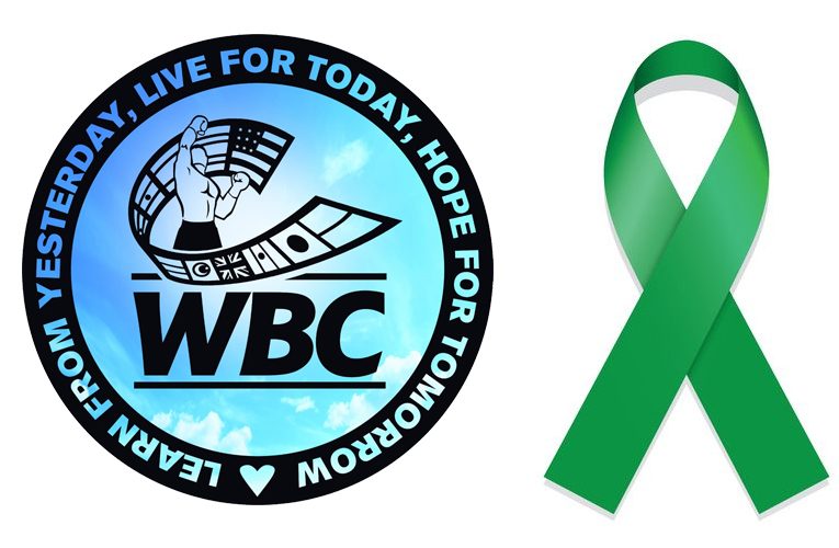 EL CMB BUSCA NOQUEAR AL ALZHEIMER EN CAMPAÑA