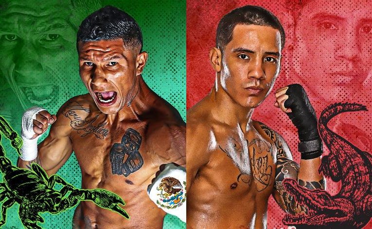 “BERCHELT NO HA PASADO POR LO QUE YO, EL SÁBADO GANARÉ” OSCAR VALDEZ